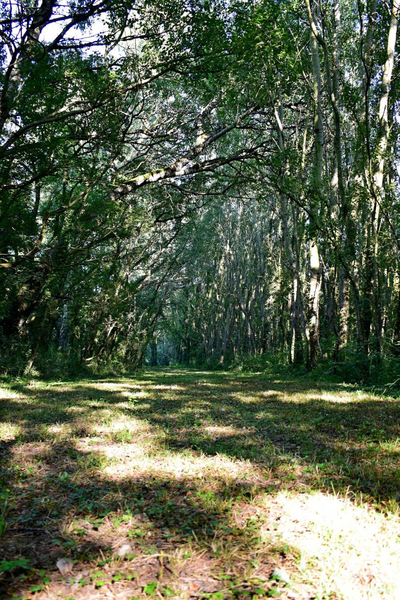 L'Oree Du Bois Gaubau Saint-Georges-sur-Layon Bagian luar foto